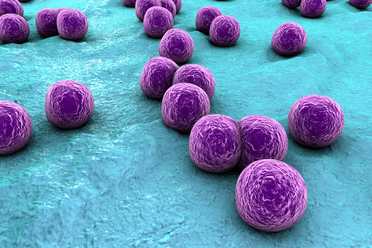 How Long Do Staph Bacteria Live On Surfaces